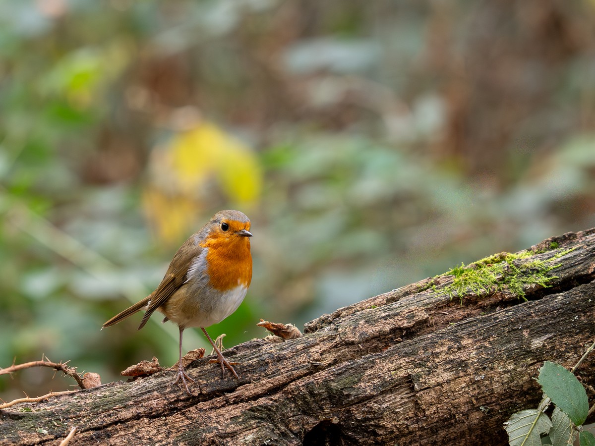 13112025-13 11 25 (3).jpg